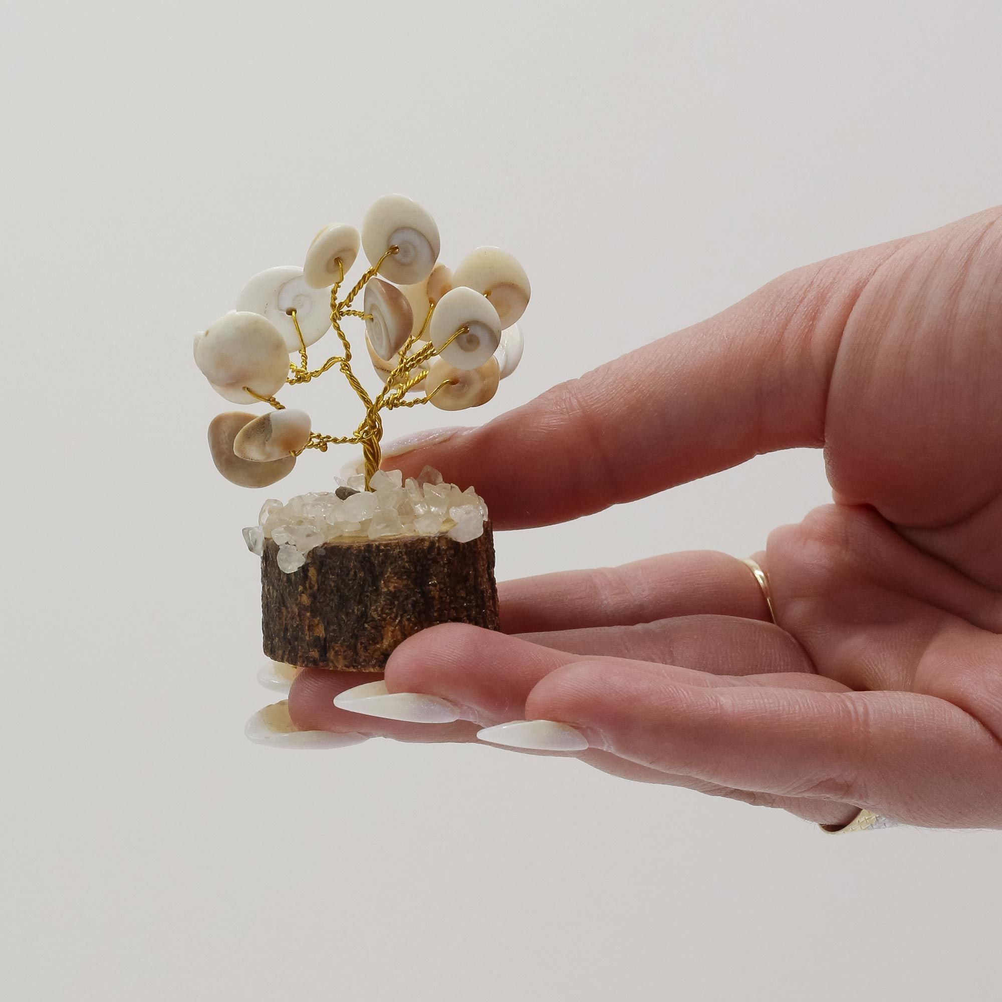 Albero Piccolo Chakra Gomati con Rudraksha (15 pietre)