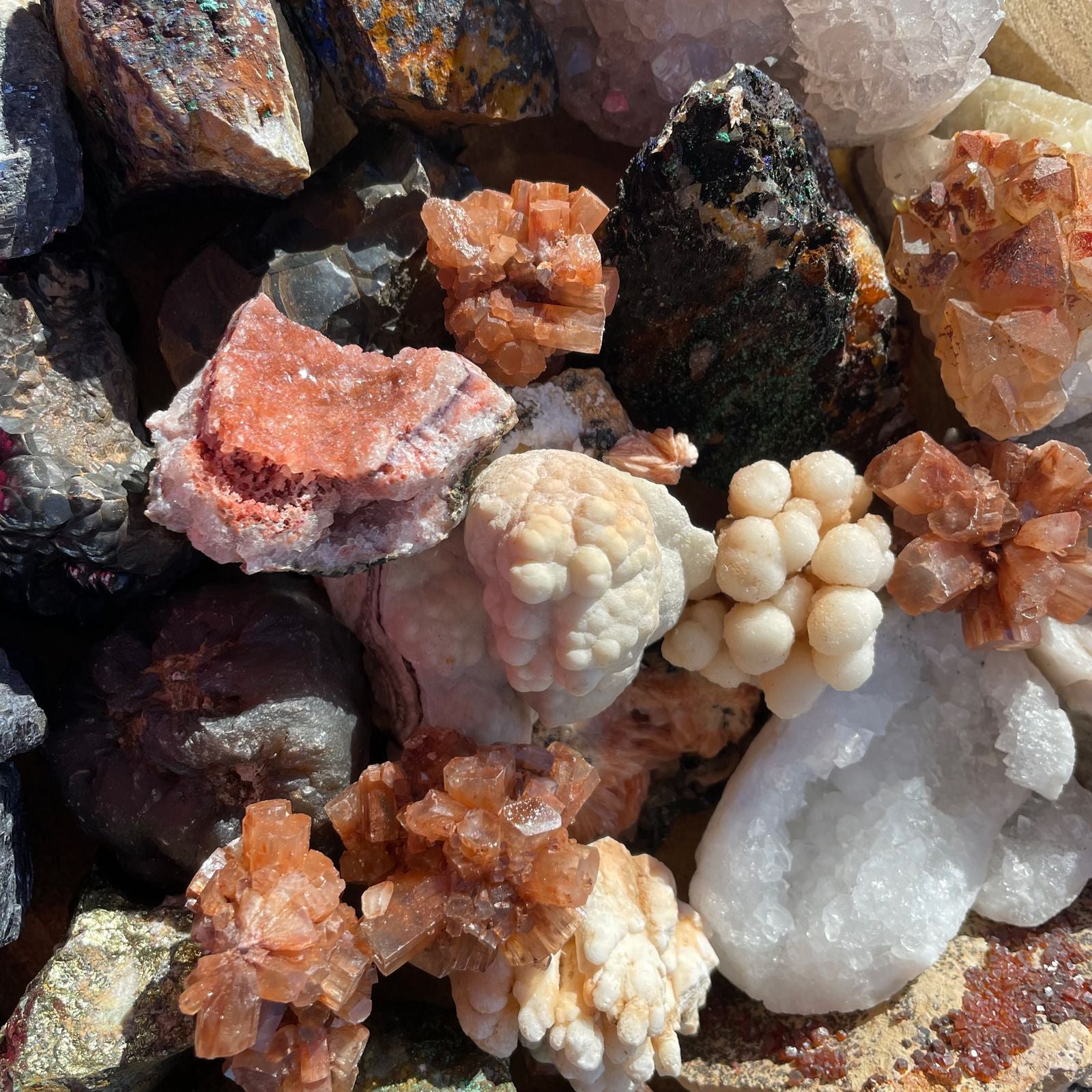 Campione di Minerali - Calcopirite (ca. 80 pezzi)