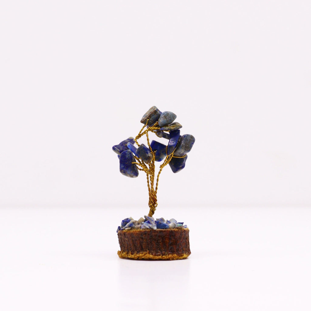 Alberello di Sodalite su Base in Legno, 15 Pietre
