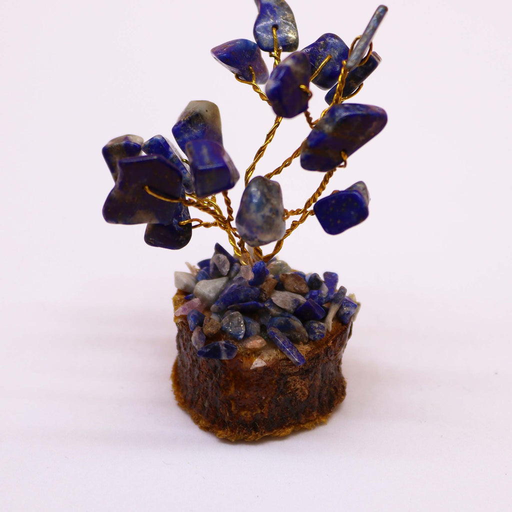 Alberello di Sodalite su Base in Legno, 15 Pietre