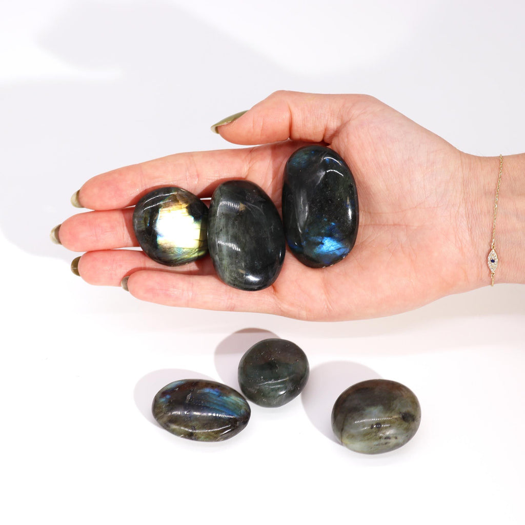 Palma Labradorite Madagascar 30g 60mm 1pezzo