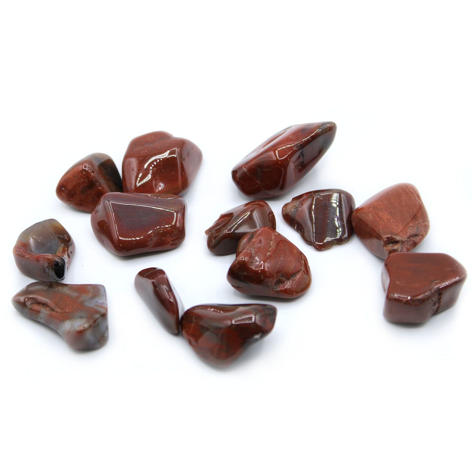 Pietre burattate in Petrified Wood 24pezzi
