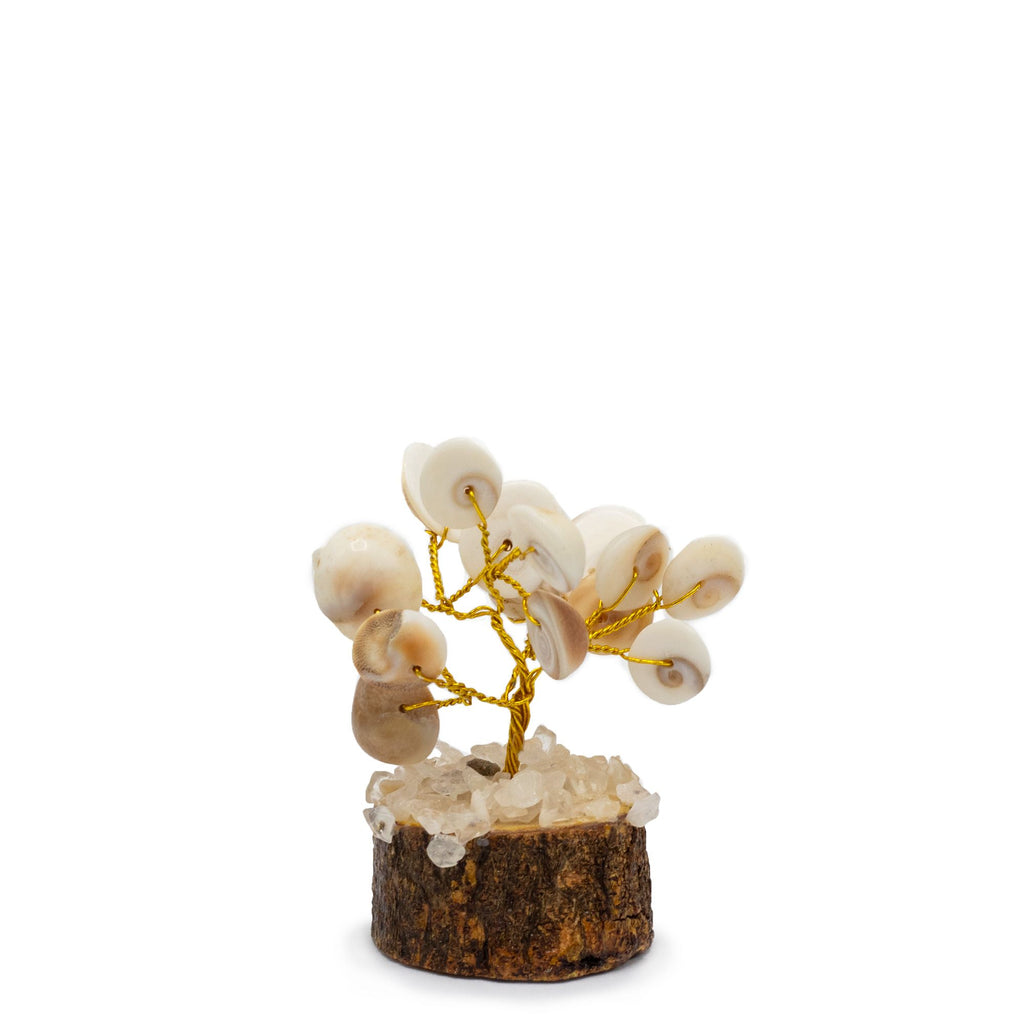 Albero Piccolo Chakra Gomati con Rudraksha (15 pietre)
