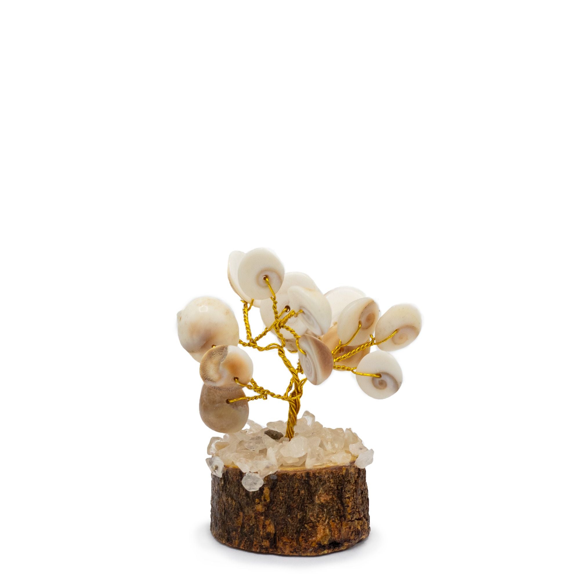 Albero Piccolo Chakra Gomati con Rudraksha (15 pietre)