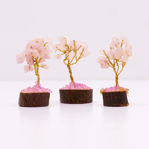 Alberello di Pietre su Base Legno - Quarzo rosa 15 Pietre