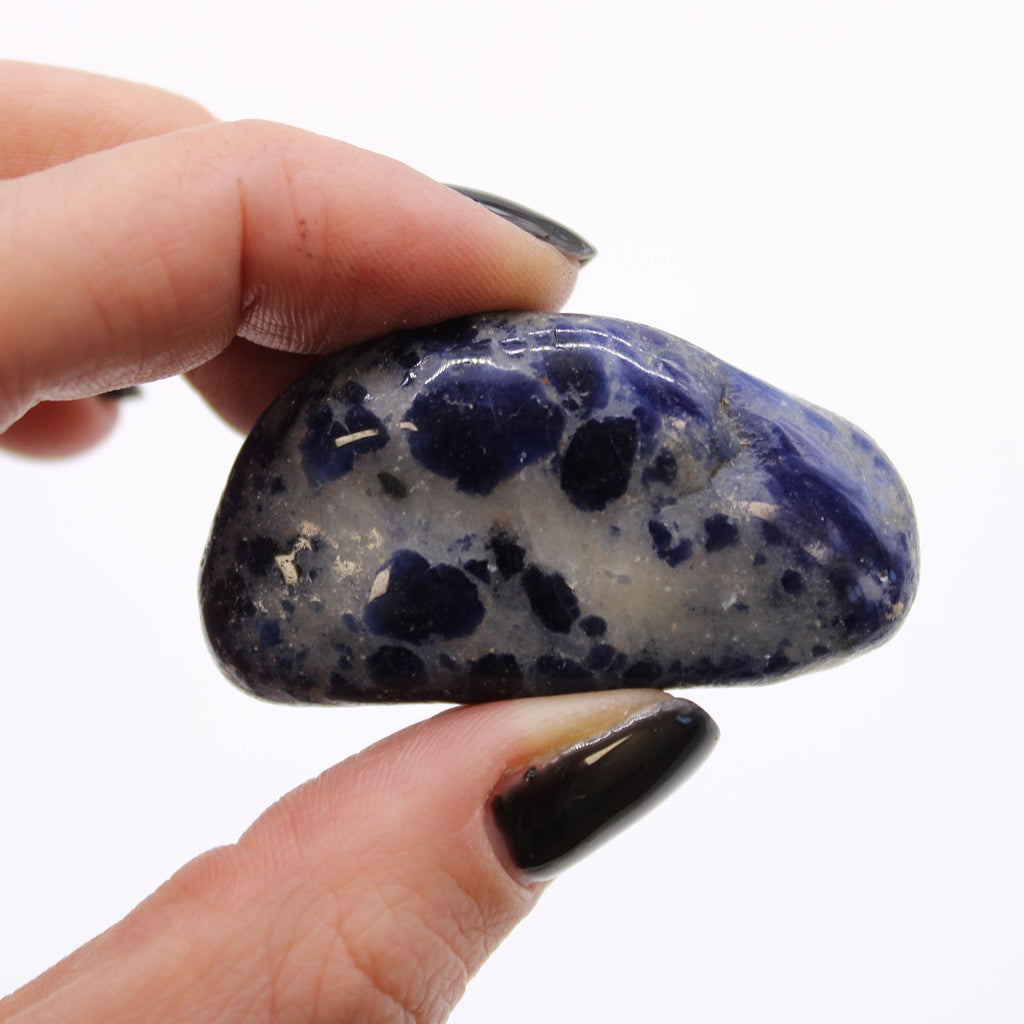 Pietre Burattate Africane Medie Sodalite Blu Puro 12pezzi