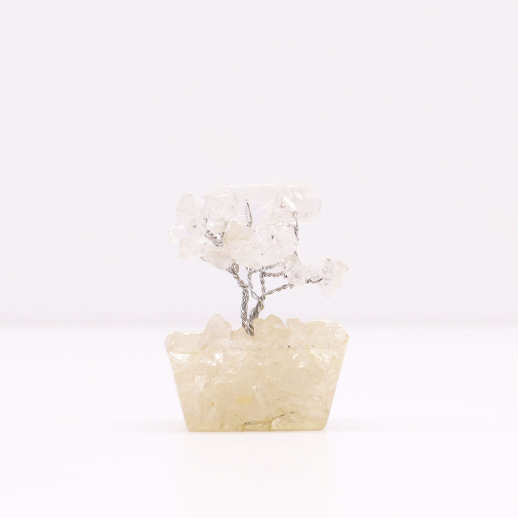 Alberello di Quarzo su Base Orgonite 15 Pietre