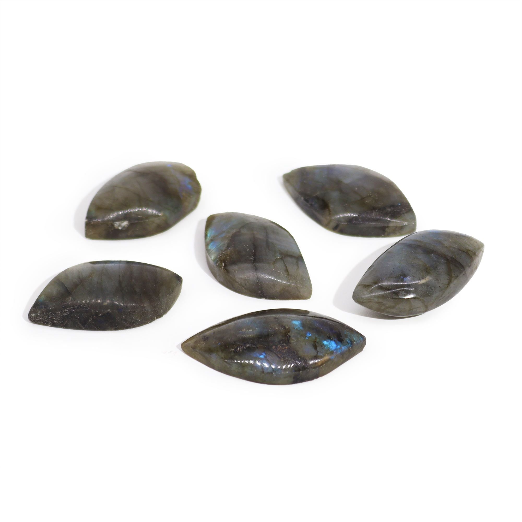 Foglia Labradorite Madagascar 45-55mm 1pezzo