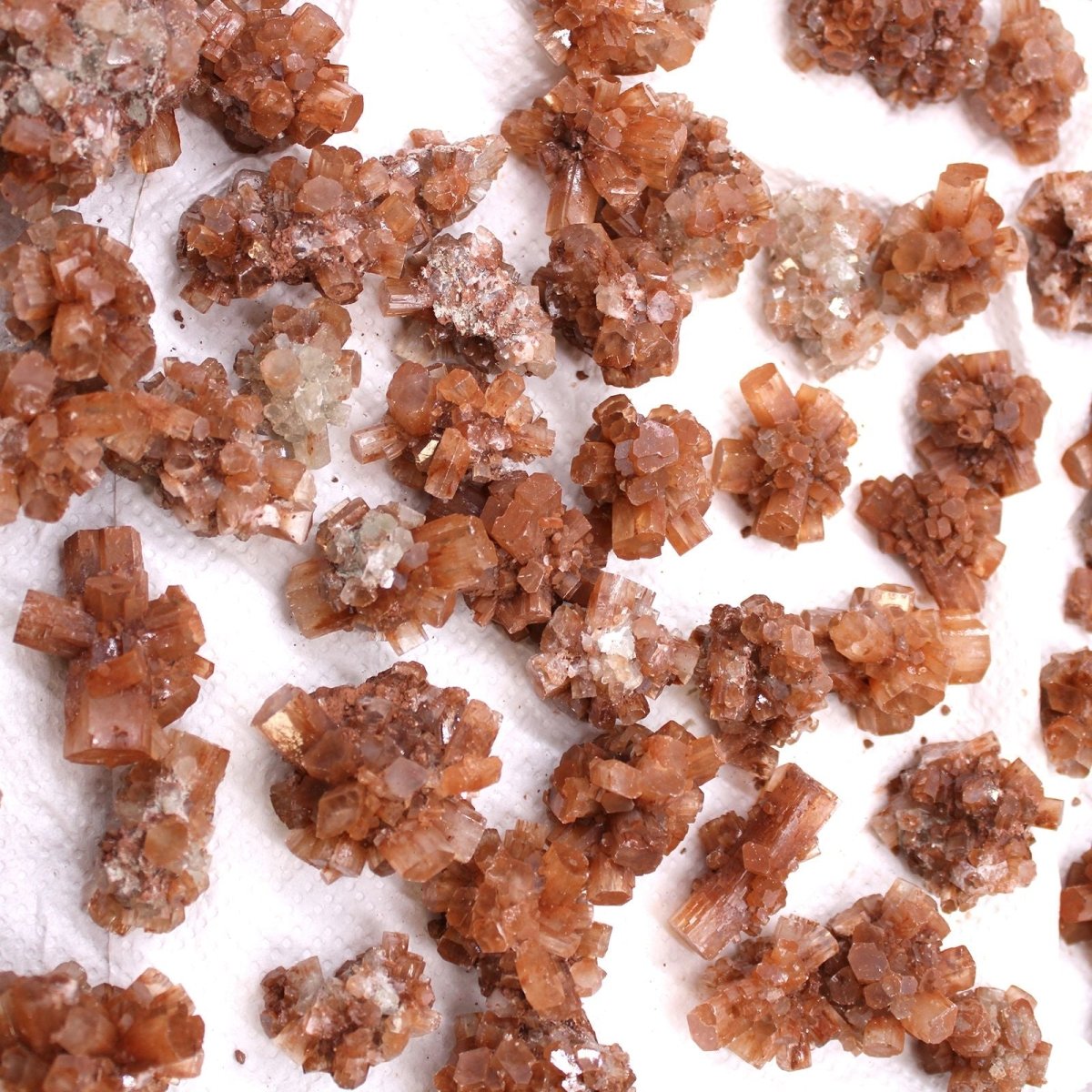 Campioni di Minerali - Aragonite (circa 20 pezzi) - Aureth