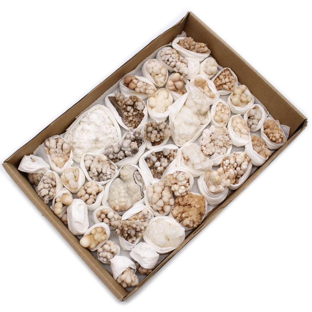 Campioni Minerali - Calcite Fiore (circa 20 pezzi) - Aureth