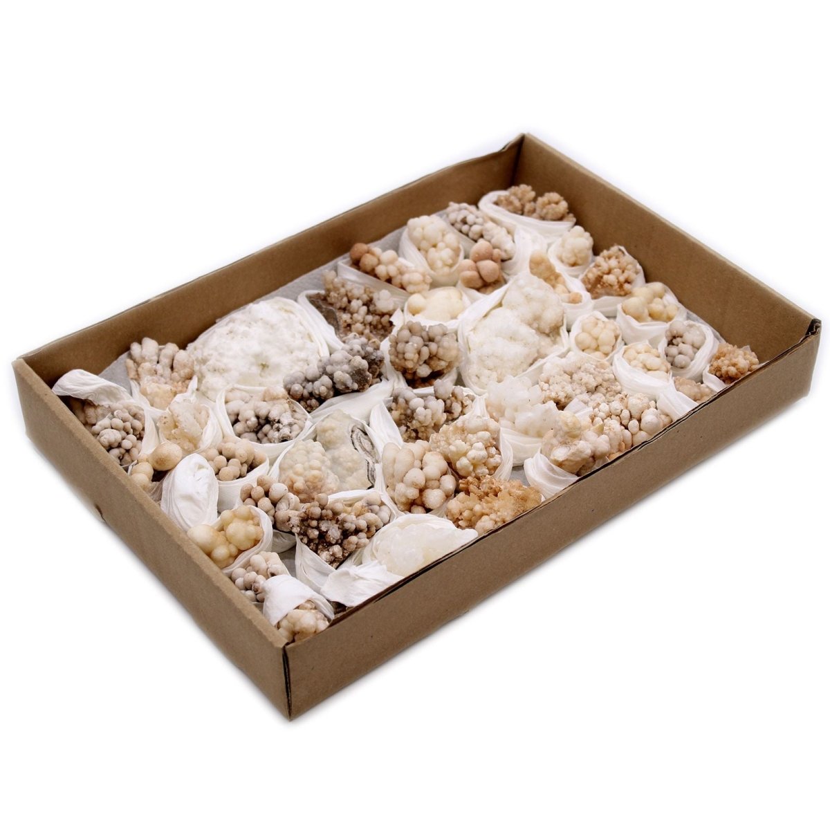 Campioni Minerali - Calcite Fiore (circa 20 pezzi) - Aureth