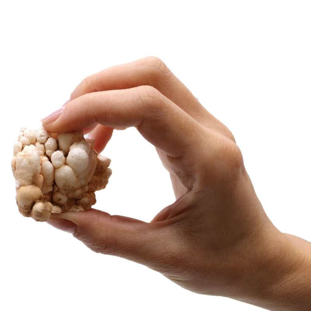 Campioni Minerali - Calcite Fiore (circa 20 pezzi) - Aureth