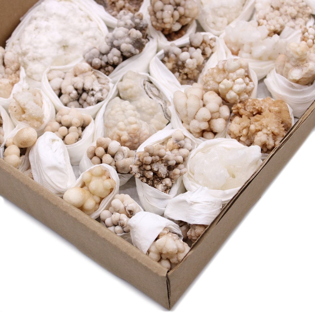 Campioni Minerali - Calcite Fiore (circa 20 pezzi) - Aureth