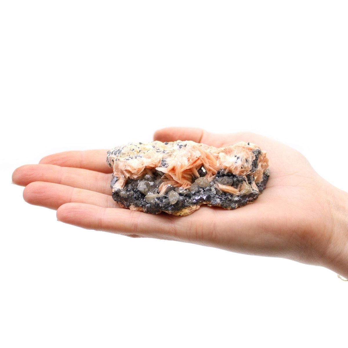 Specie Minerali - Barite (circa 60 pz) - Aureth