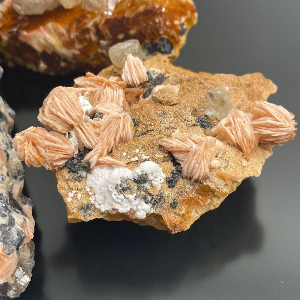 Specie Minerali - Barite (circa 60 pz) - Aureth